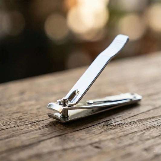 Stainless Steel Nail Clipper Set With Keychain Holder (2 Pc) - Zidbik