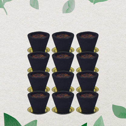 Premium Gugal Sambrani Cup Sambrani Havan Cups (12 Pcs Set) - Zidbik
