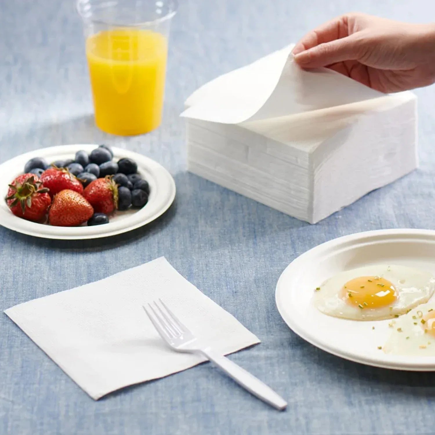 Freshee Premium Dinner Napkins 50 Pc Pack (40 40 Cm) - Zidbik