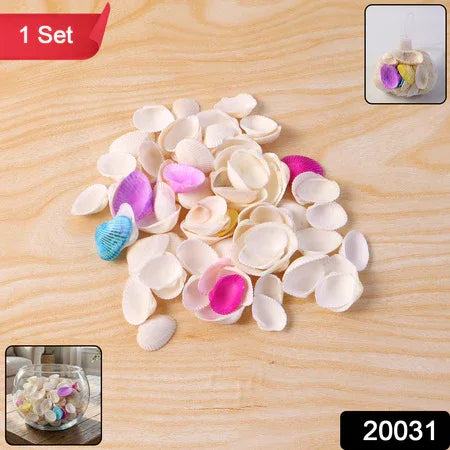 Decorative Seashells Set (1 Set) - Zidbik