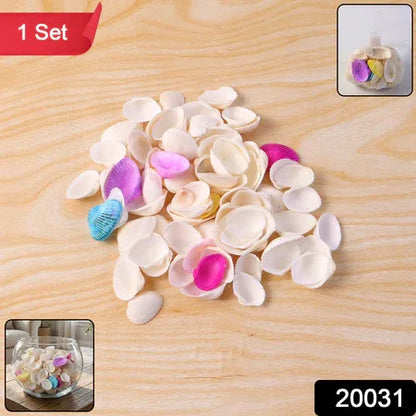 Decorative Seashells Set (1 Set) - Zidbik