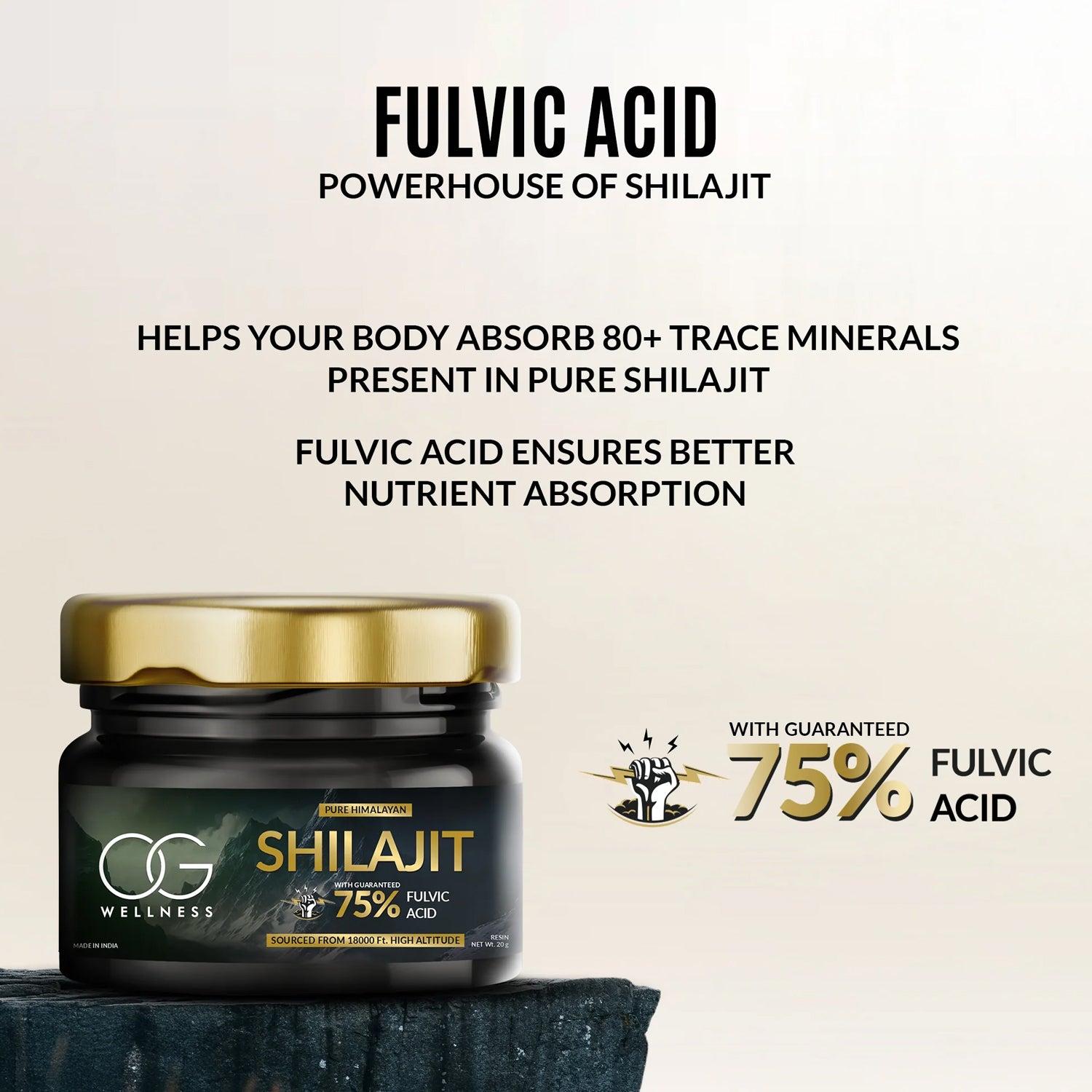 Og Wellness Pure Himalayan Shilajit Resin (20 Gm  1 Pc) - Zidbik