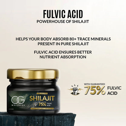 Og Wellness Pure Himalayan Shilajit Resin (20 Gm  1 Pc) - Zidbik