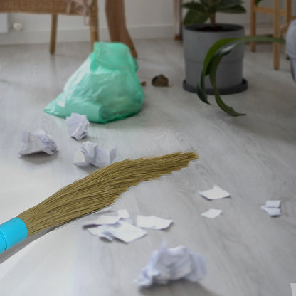 Pro Clean Expandable Floor Broom With Plastic Handle - Zidbik