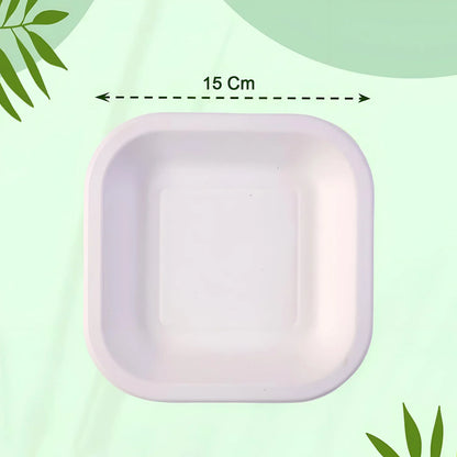 Disposable Square Food Serving Tray Set (10 Pc) - Zidbik