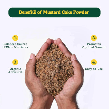 Mustard Cake Fertilizer For Plants 900gm - Zidbik