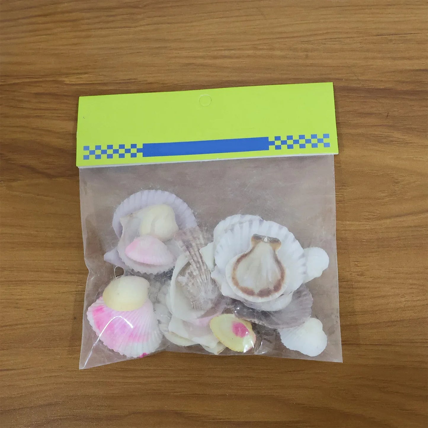 Natural Decorative Sea Shells Set (1 Set) - Zidbik