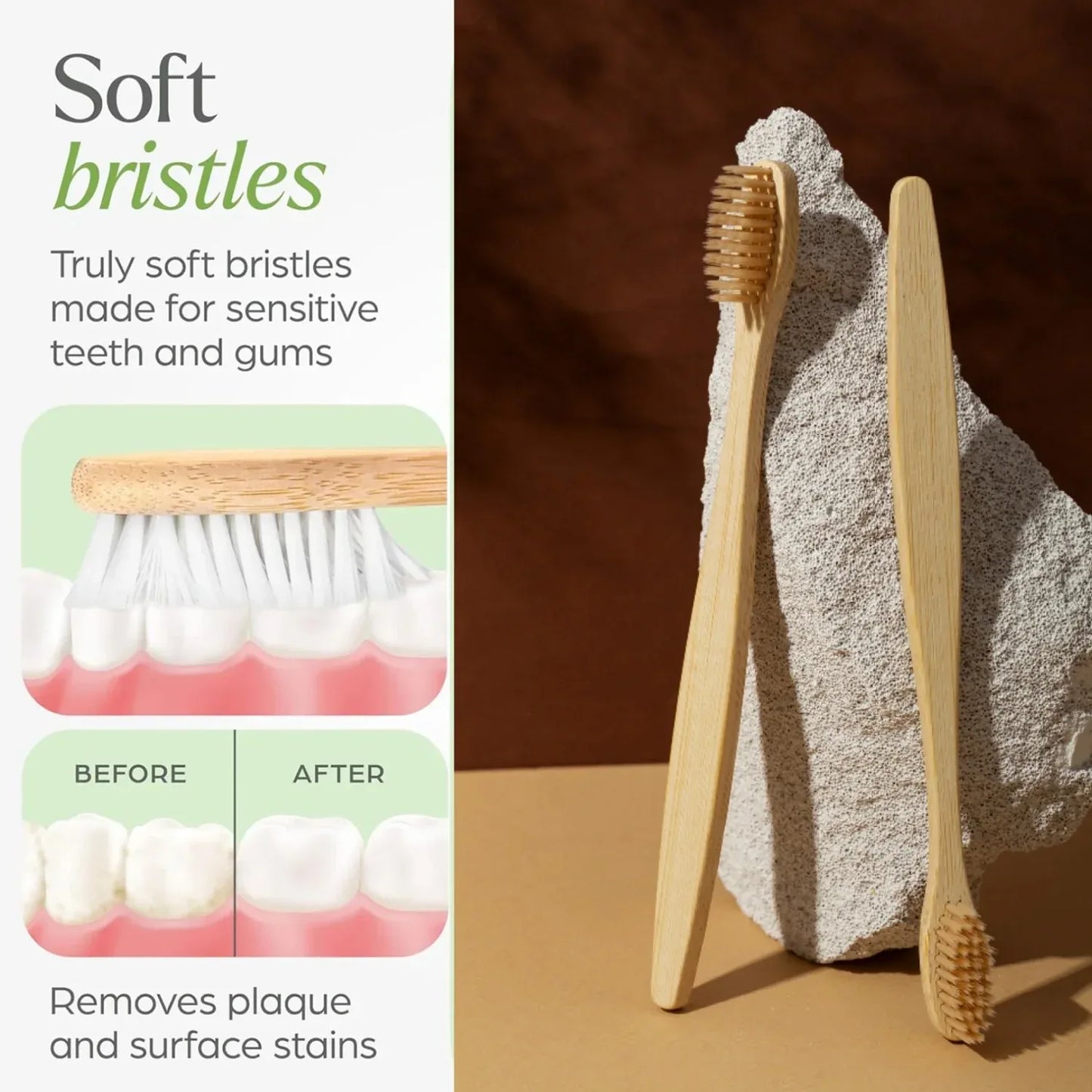 Premium Wall Mounted Toothbrush Holder Set (1 Set) - Zidbik
