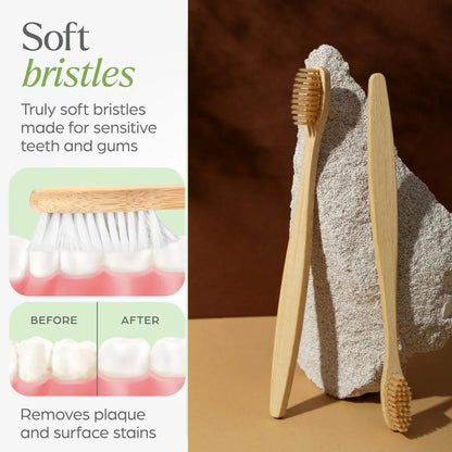 Premium Wall Mounted Toothbrush Holder Set (1 Set) - Zidbik