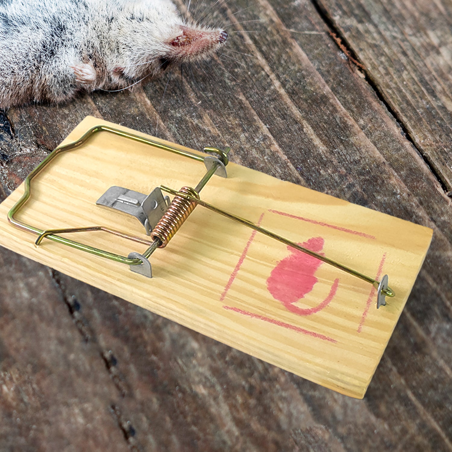 Wooden Mouse Rat Traps (1 Pc) - Zidbik