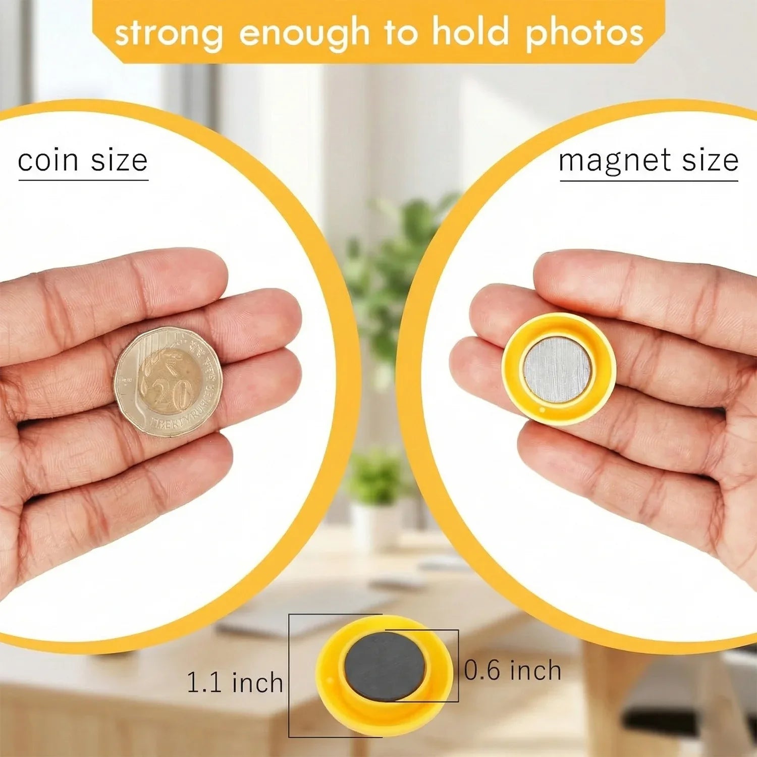 Colorful Round Refrigerator Magnets Set (12 Pc Set) - Zidbik