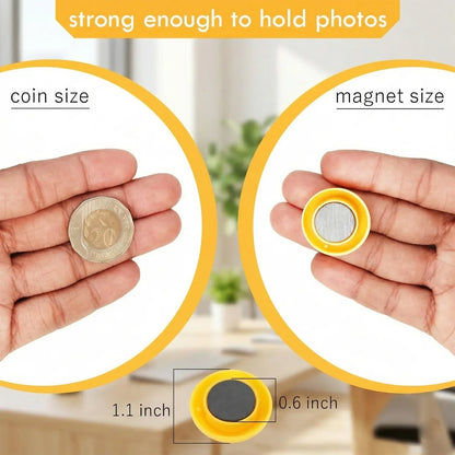 Colorful Round Refrigerator Magnets Set (12 Pc Set) - Zidbik
