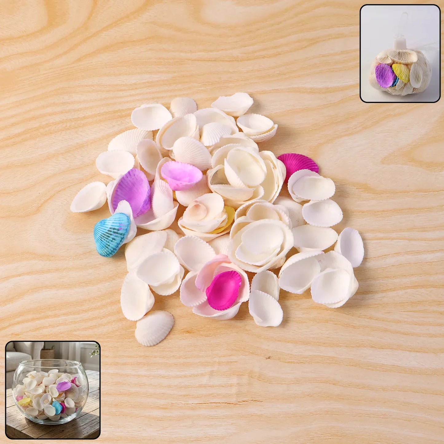 Decorative Seashells Set (1 Set) - Zidbik