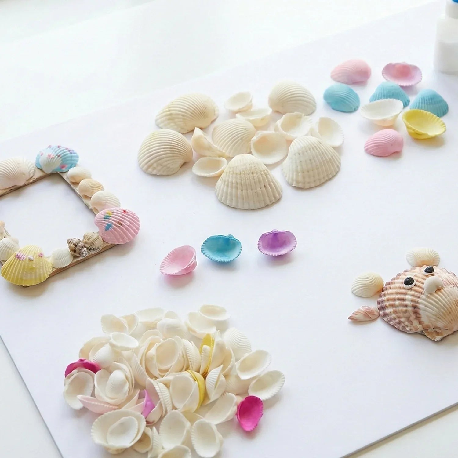 Decorative Seashells Set (1 Set) - Zidbik