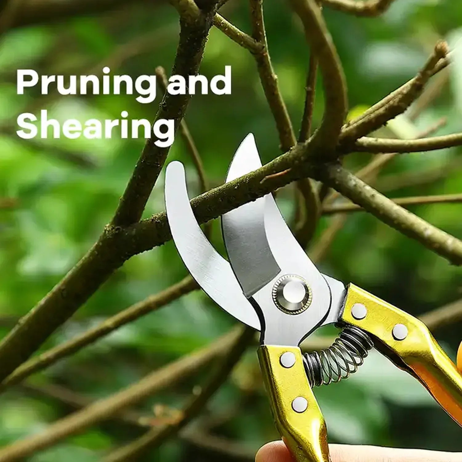 Gardening Tools - Garden Shears Pruners Scissor (1 Pc) - Zidbik