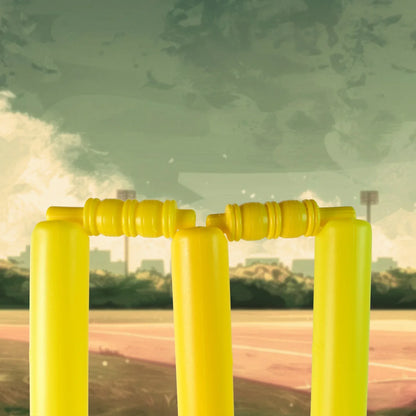 Big Cricket Kit Cricket Set With 1 Cricket Bat 1 Rubber Ball Bails 3 Stumps With Stand Base - Zidbik