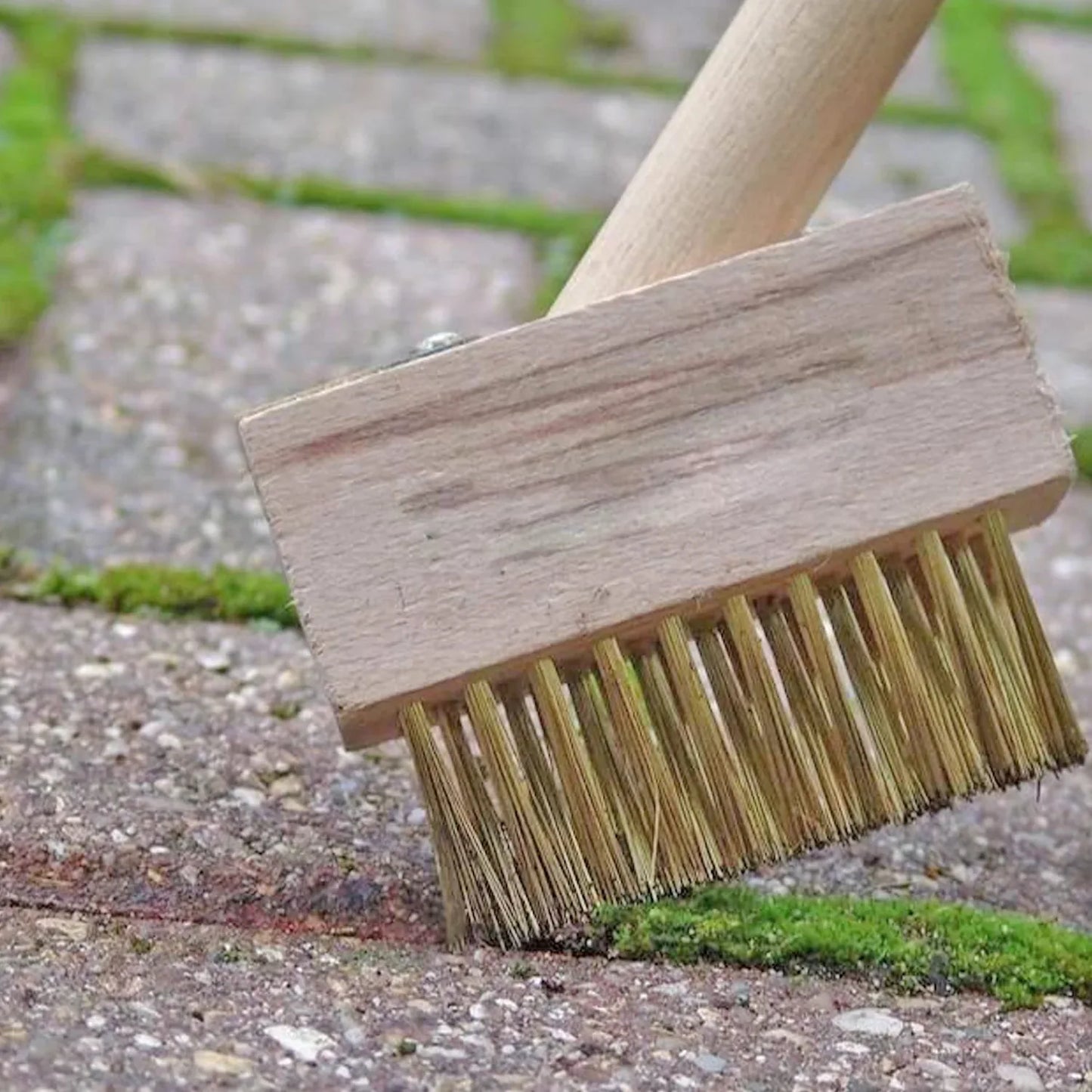 Paving Brush Wooden Block Paving Brush Patio Weed Remover Tool (1 Pc) - Zidbik
