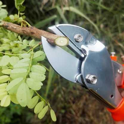 1572 Professional Garden Scissor With Sharp Blade Comfortable Handle (18cm) - Zidbik