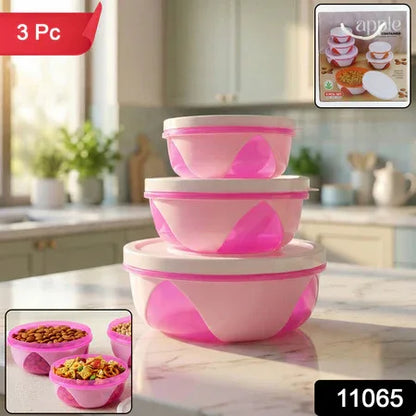 Apple Set Of 3 Plastic Storage Containers (1 Pc) - Zidbik
