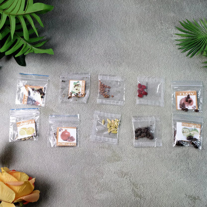 Fruit Seeds Combo Pack - (10 Pc Set) - Zidbik