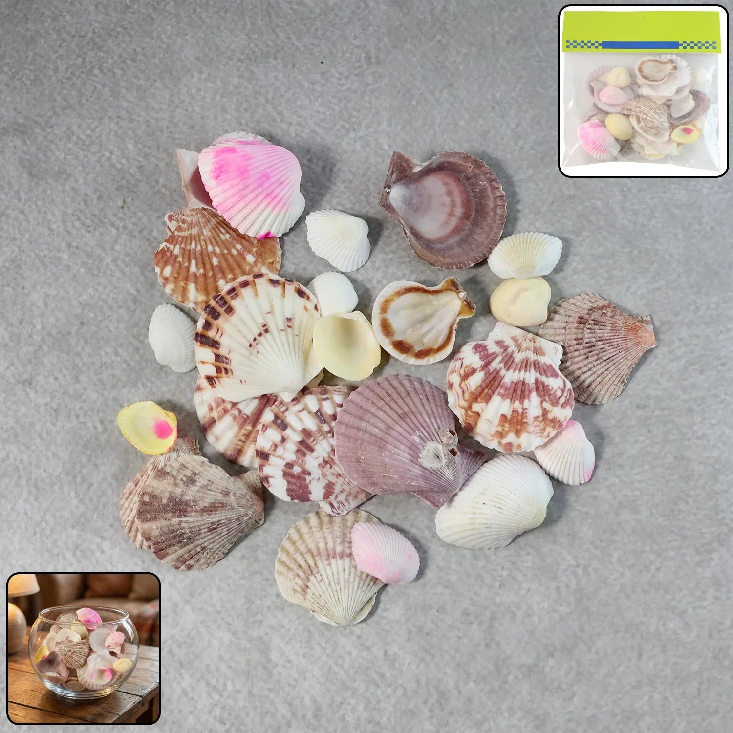 Natural Decorative Sea Shells Set (1 Set) - Zidbik