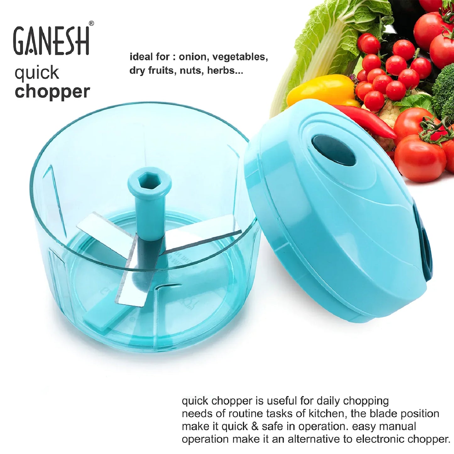 8105 Ganesh Quick Vegetable Chopper (1 Unit Chopper)(725 Ml) - Zidbik