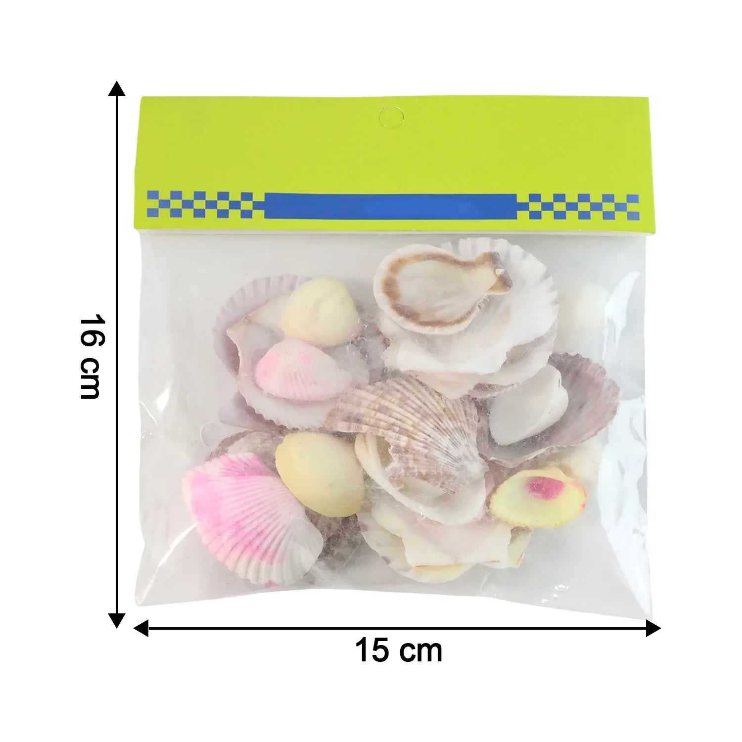Natural Decorative Sea Shells Set (1 Set) - Zidbik