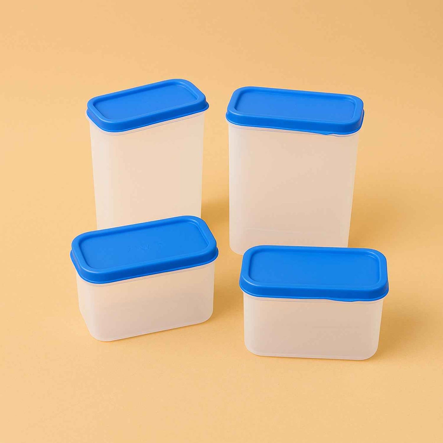 Apex Glory Plastic Storage Container Box Set (4 Pc) - Zidbik