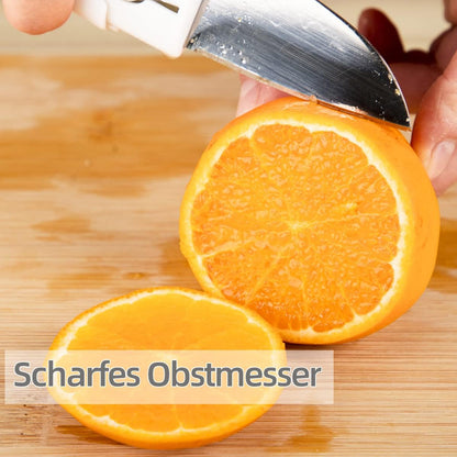 Dual-use Knife And Peeler 2-in-1 Stainless Steel Blades Wiith Case (1 Pc) - Zidbik