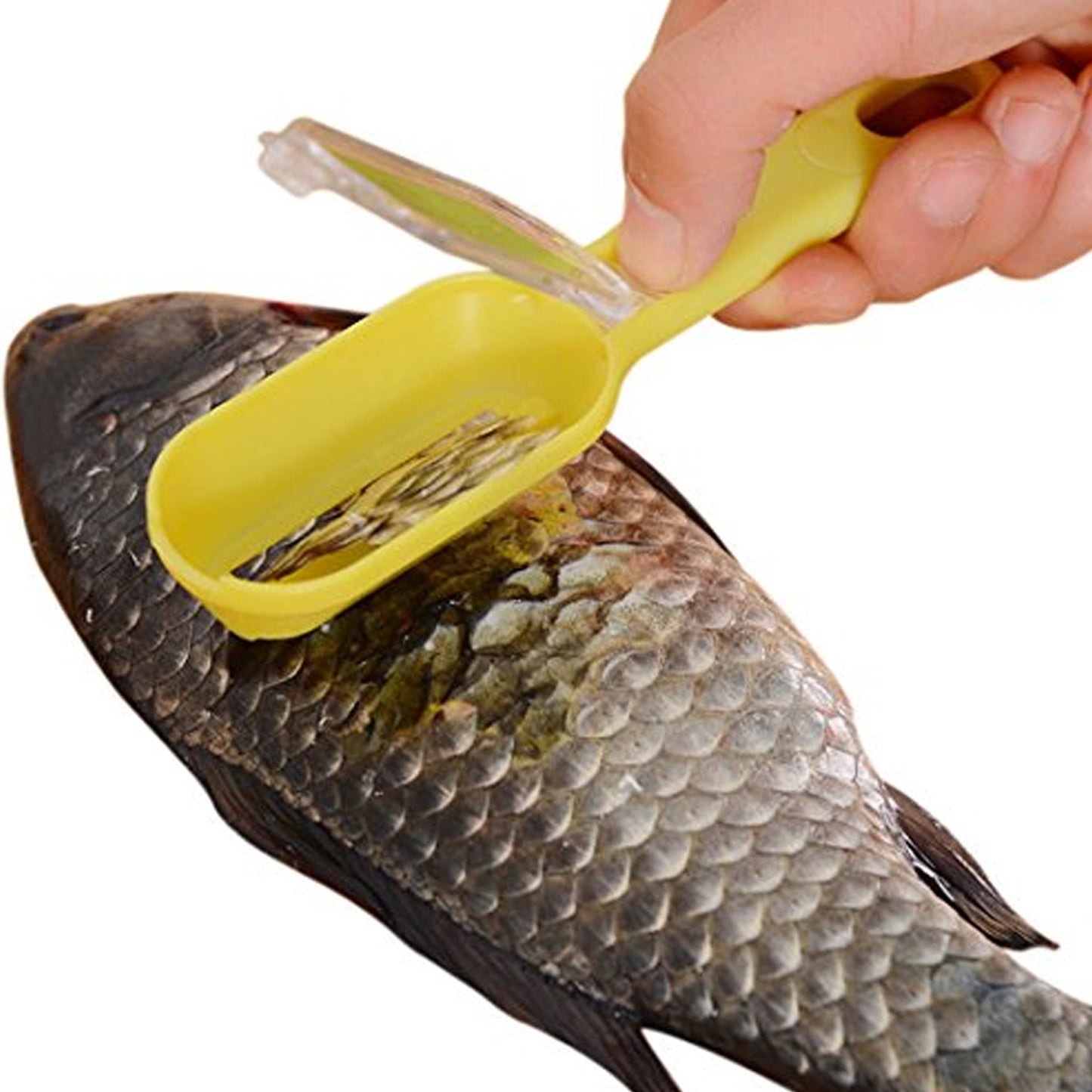 0112 Plastic Fish Scales Graters Scraper Fish Skin Brush Fish Cleaning Tool Scraping Scales Device With Cover Home Kitchen Cooking Tools 1 Pieces - Zidbik
