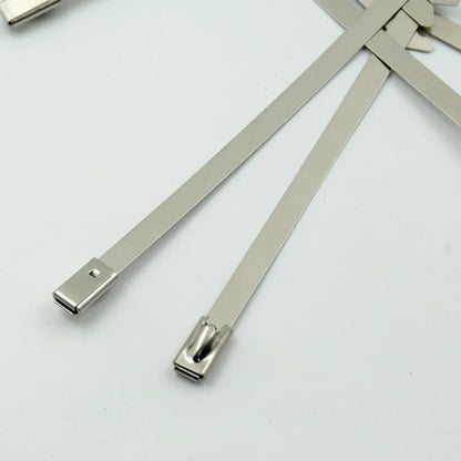 Stainless Steel Cable Tie (4.6x100mm 10 Pcs Set) - Zidbik