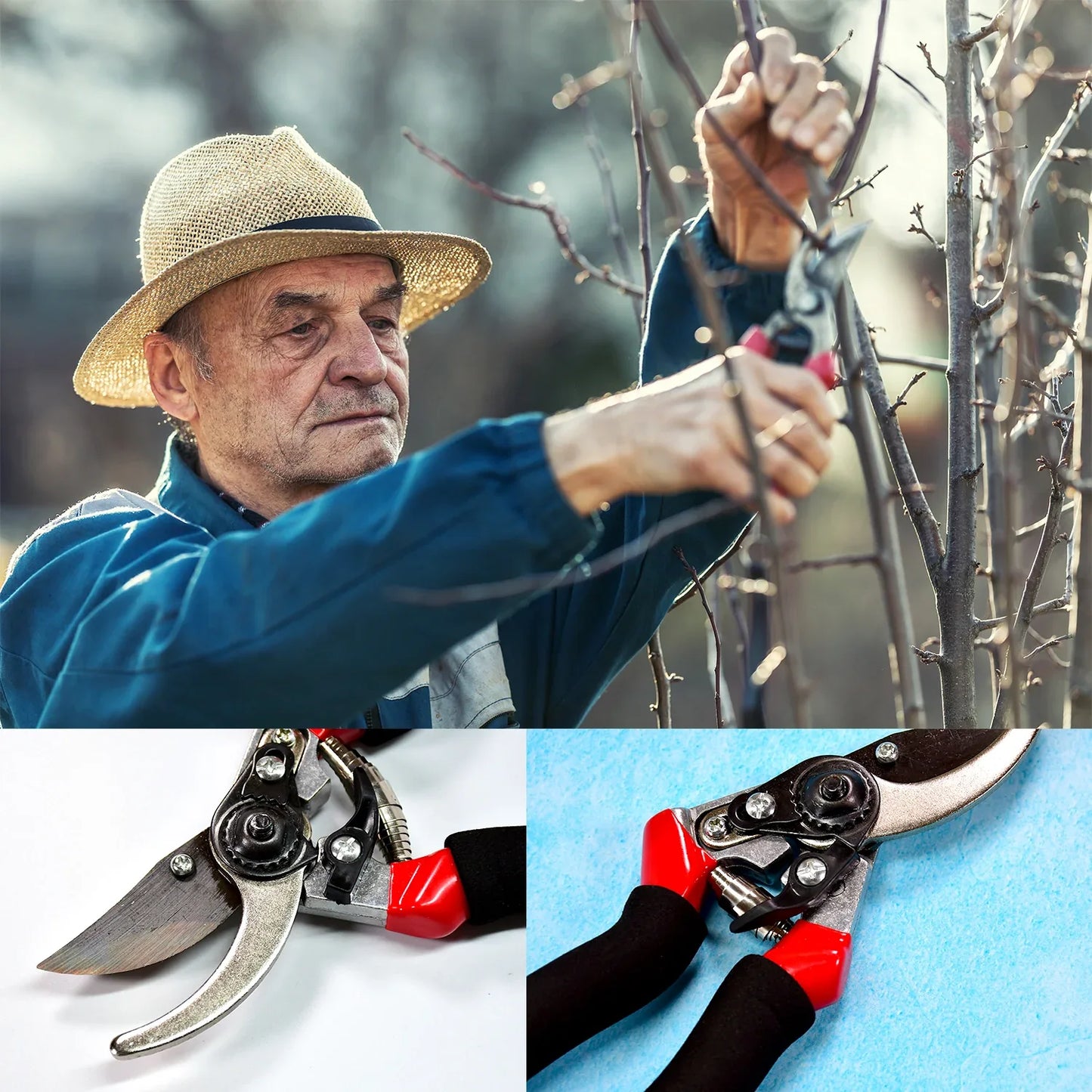 9082 21cm Red Garden Shears Sharp Cutter Pruners Scissor Pruner. - Zidbik