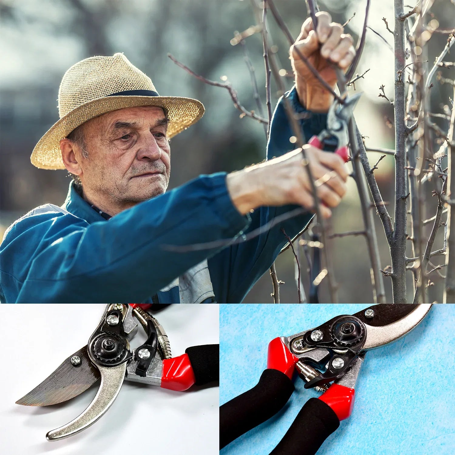 9082 21cm Red Garden Shears Sharp Cutter Pruners Scissor Pruner. - Zidbik
