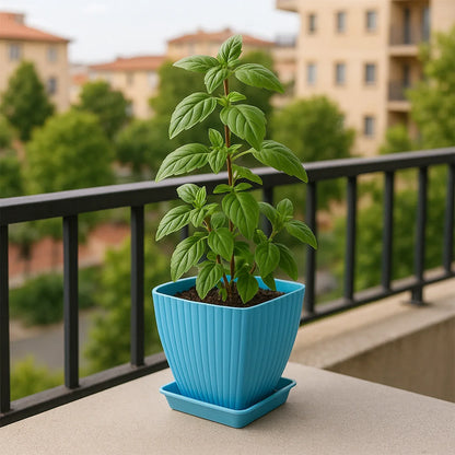 Trendy Square Plastic Flower Pots Set Of 5 - Zidbik