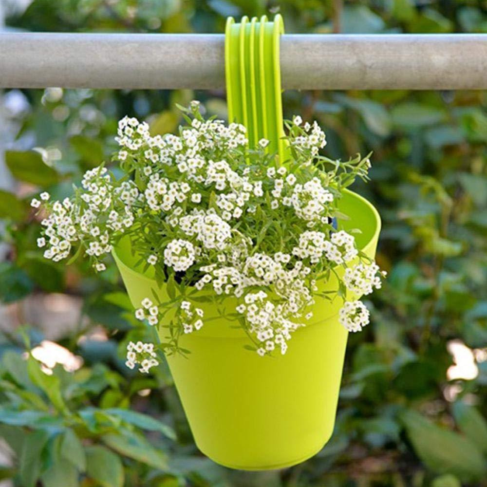 3850 Plastic Hanging Planter Pot Multicolour - Zidbik