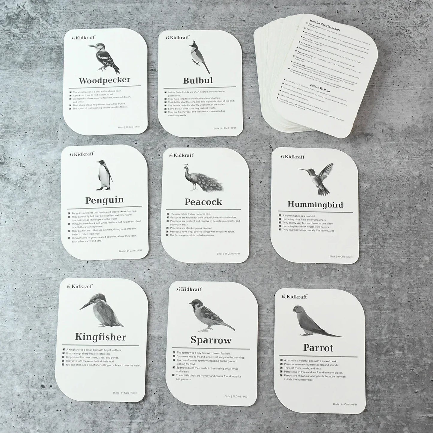 Kidkraft Early Learner Educational Flashcards 32 Birds - Zidbik