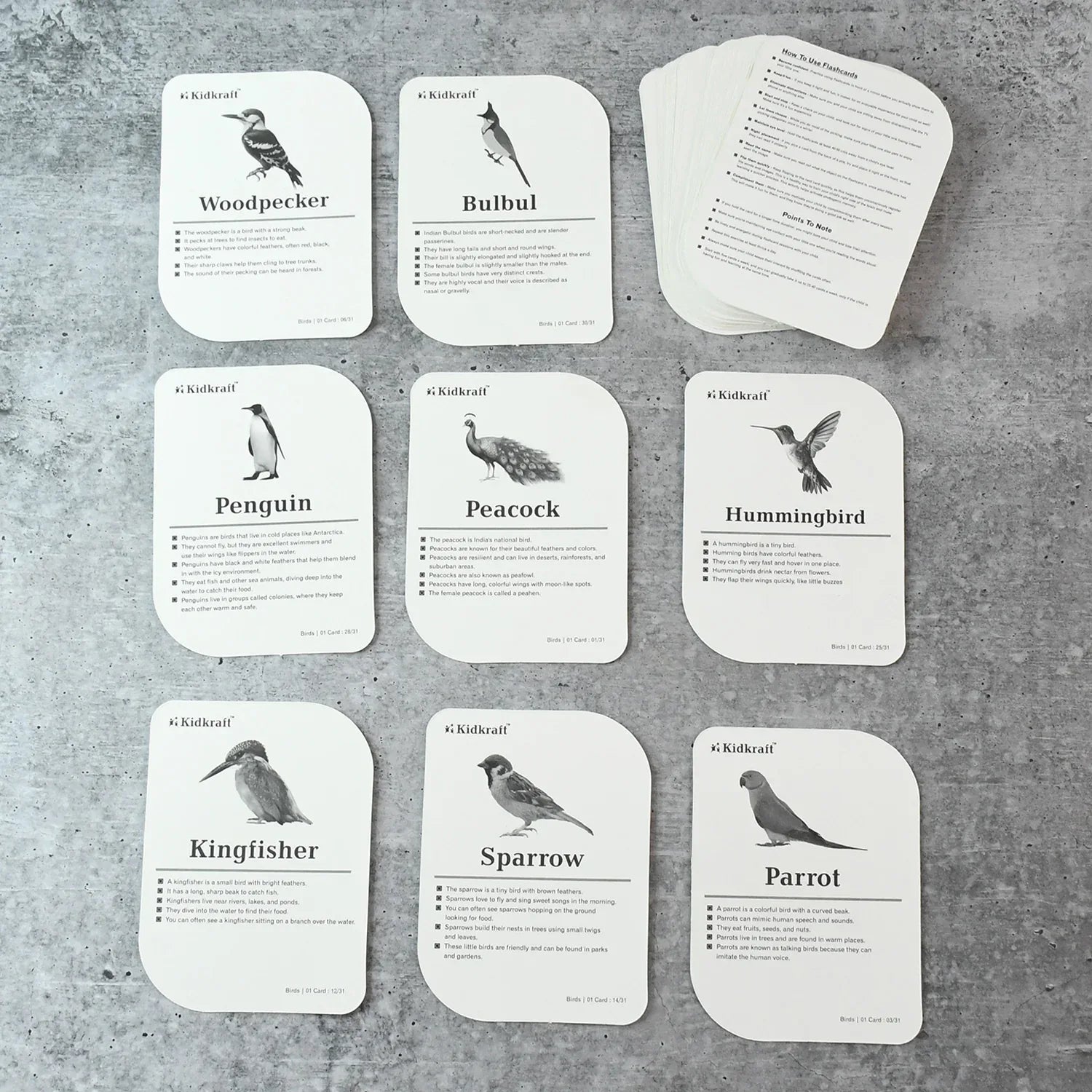 Kidkraft Early Learner Educational Flashcards 32 Birds - Zidbik