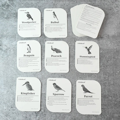 Kidkraft Early Learner Educational Flashcards 32 Birds - Zidbik