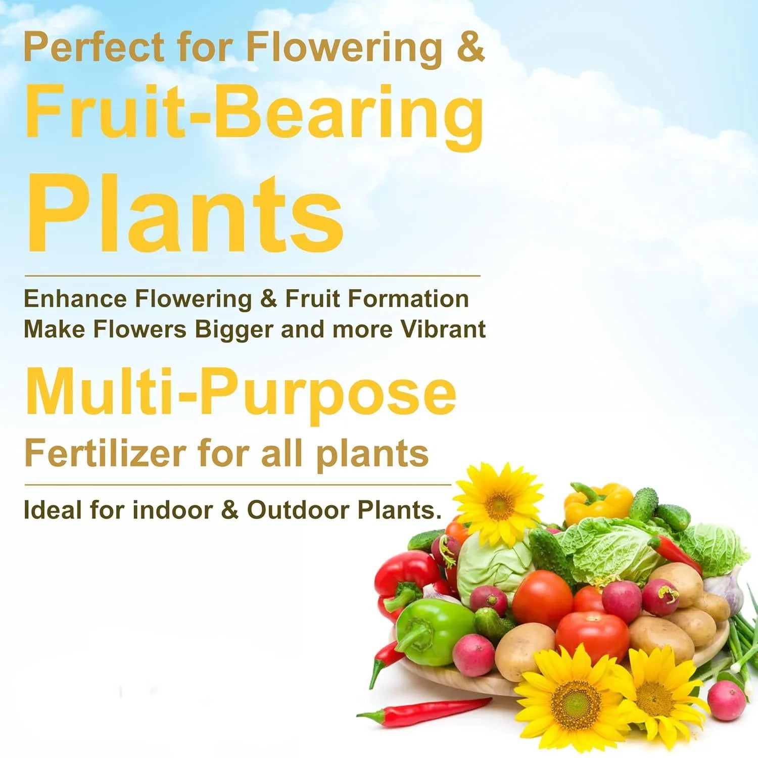 Mustard Cake Fertilizer For Plants 900gm - Zidbik