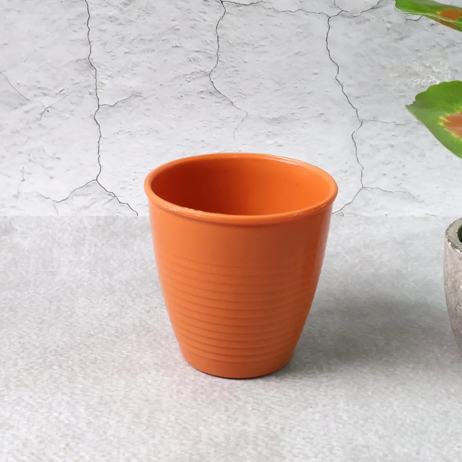 Durable Plastic Small Drinking Glass (1 Pc) - Zidbik