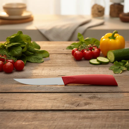 Multipurpose Stainless Steel Fruit Knife Set Of 3 - Zidbik