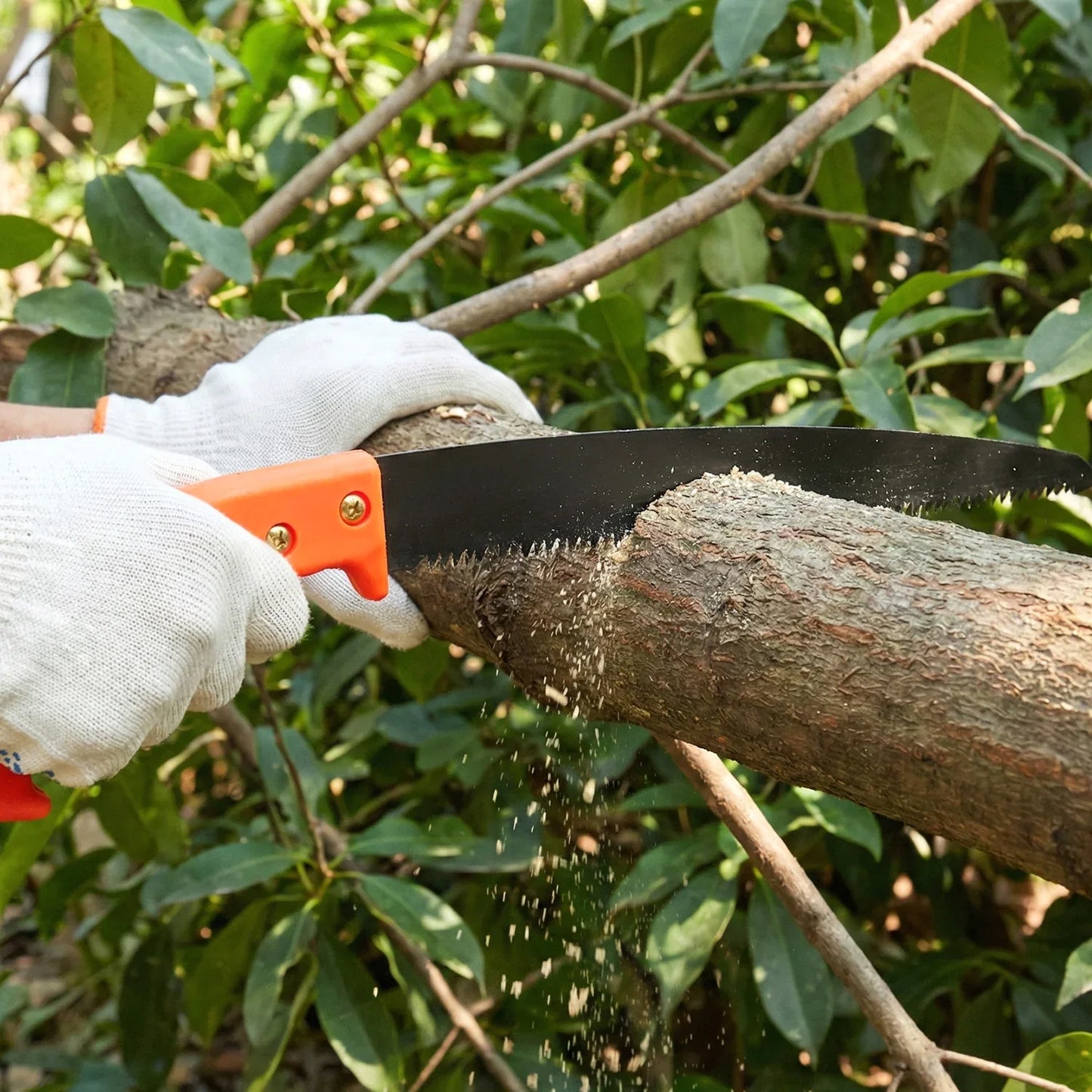 Heavy Duty Gardening Pruning Tool Combo Set (2 Pc Set) - Zidbik