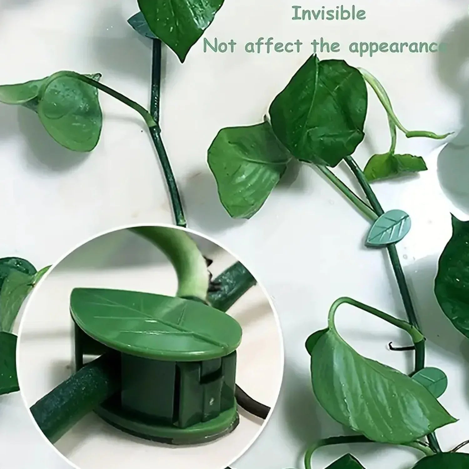 0311 Plant Climbing Wall Fixture Clip Self-adhesive Hook Vines Traction Invisible Stand Green Leaf Plant Clip Garden Wall Clip Plant Support Binding Clip Plants For Indoor Outdoor Decoration (30 Pcs Set) - Zidbik