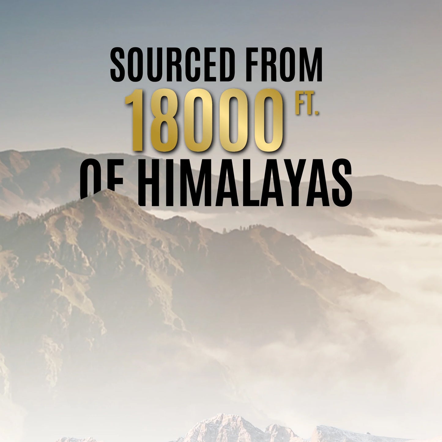 Og Wellness Pure Himalayan Shilajit Resin (20 Gm  1 Pc) - Zidbik