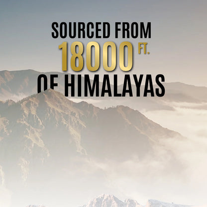 Og Wellness Pure Himalayan Shilajit Resin (20 Gm  1 Pc) - Zidbik